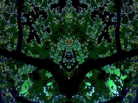 FACE OF THE UNKNOWN