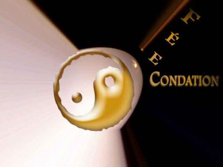 FE CONDATION