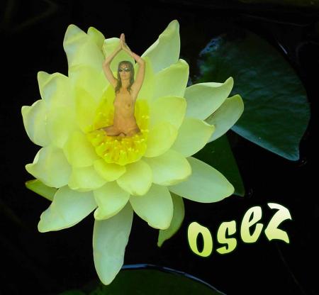 OSEZ